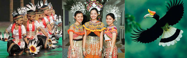 Borneo Culture